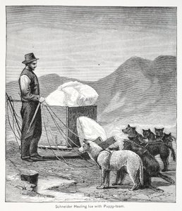 Schneider drar is med valpelaget, pub. London 1886 av American School