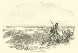Skarpskyttere før Wagner, august 1863 av American School