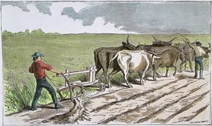 Sodbusters of the American West, ca. 1880 (farget gravering) av American School