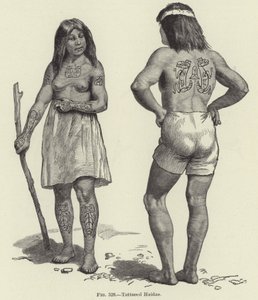 Tattooed Haidas av American School