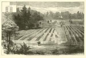 Gravplassen i Andersonville hvor 14 000 unionsfanger ble gravlagt, mai 1865 av American School