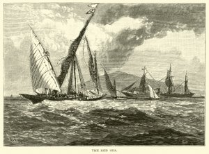 Rødehavet av American School