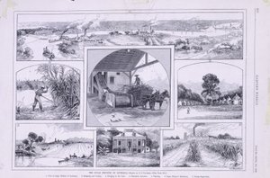 Sukkerindustrien i Louisiana av American School