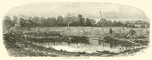 Hvetefeltet der Reynolds falt, juli 1863 av American School