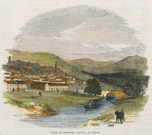 Utsikt over Houston, hovedstaden i Texas, ca. 1852 (håndfarget tregravering) av American School