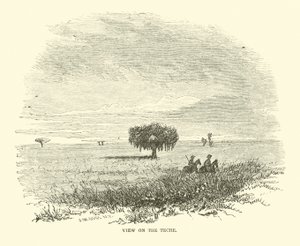 Utsikt på Teche, april 1863 av American School