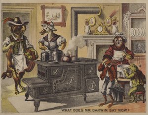 Hva sier Darwin nå? (chromolitho) av American School