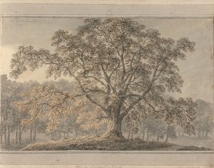 Utsikt i England, Skottland og Wales: Ash i Londesbro Park, mai 1800 av Amos Green