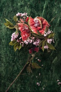 Eve_09, 2016 (Fotografering) av Ana Carolina Tavares Mizrahi