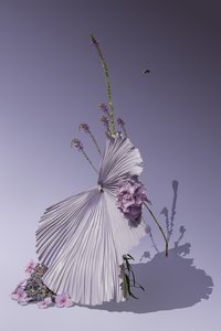  av Ana Carolina Tavares Mizrahi