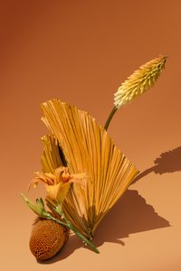 av Ana Carolina Tavares Mizrahi