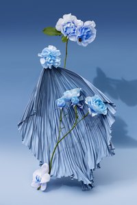  av Ana Carolina Tavares Mizrahi
