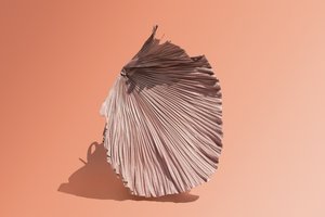  av Ana Carolina Tavares Mizrahi