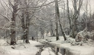 Frostvær i en bøkeskog