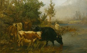 Kyr ved vannet