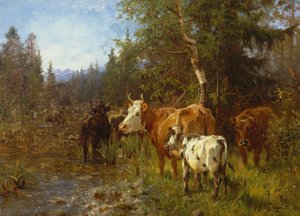Kyr ved vannposten