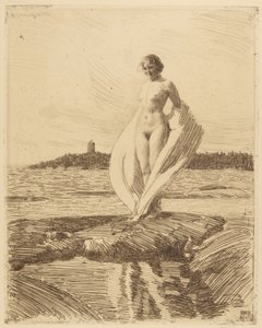 Svanen av Anders Leonard Zorn
