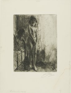 Et mørkt hjørne av Anders Leonard Zorn