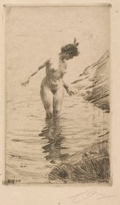 Circles of Water II av Anders Leonard Zorn