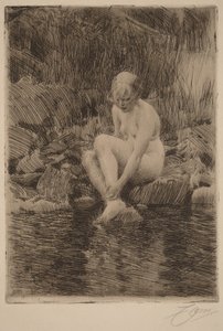  av Anders Zorn