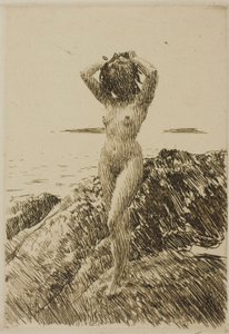 Hårtång (tangkrans) av Anders Zorn