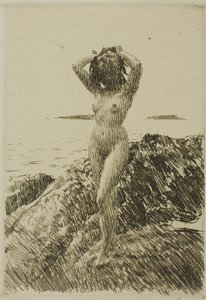 Hårtång (tangkrans) av Anders Leonard Zorn