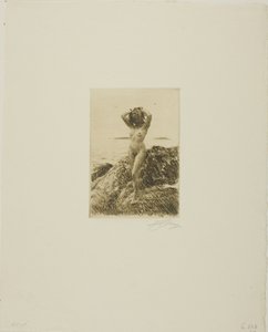 Hårtång (Seawood-krans) av Anders Leonard Zorn