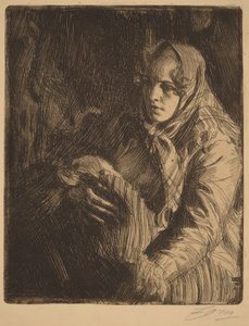  av Anders Zorn