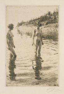  av Anders Zorn