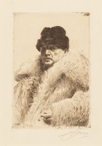  av Anders Zorn