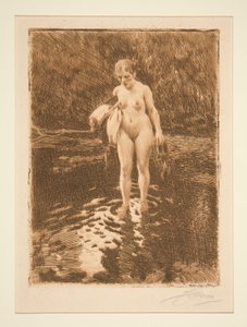 Forden av Anders Leonard Zorn