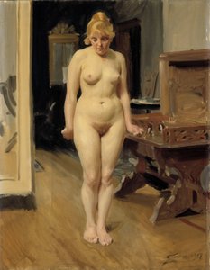  av Anders Zorn