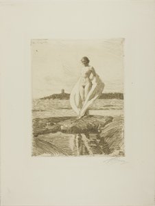 Svanen av Anders Leonard Zorn