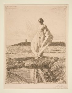 Svanen av Anders Leonard Zorn