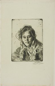  av Anders Zorn