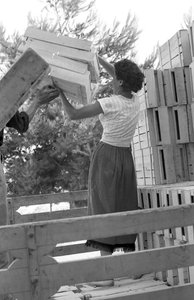 BITRE DRUER - DAGENS START av Ando Gilardi