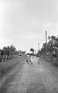 BITRE DRUER – MOT DEN TILDELTE POSTEN av Ando Gilardi