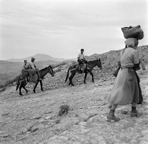 Bønder på vei hjem fra åkrene i Lucania, Basilicata, Italia