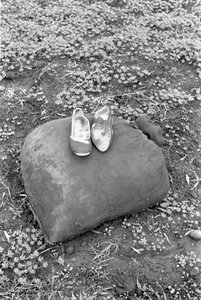 SKO AV EN RACCOGLITRICE AV OLIVEN av Ando Gilardi