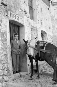 SLUTT MED MULE av Ando Gilardi