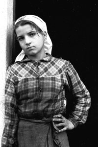 Ung jente jobber som olivenplukker i Calabria, Italia, ca. 1955 (s/h-foto)
