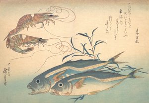 Aji Fish and Kuruma-ebi, fra serien Uozukushi Every Variety of Fish, 1830-tallet, 1830-tallet.