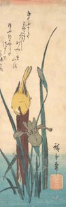 Fugl og Iris. av Ando Hiroshige