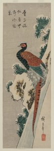 Kobberfasan ved Snowy Waterfall, slutten av 1830-tallet eller begynnelsen av 1840-tallet. av Ando Hiroshige