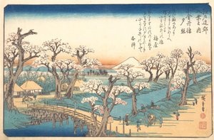 Kveldsglød ved Koganei-grensen, 1800-tallet. av Ando Hiroshige