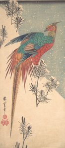 Gullfasan og furuskudd i snø, ca. 1835., ca. 1835. av Ando Hiroshige