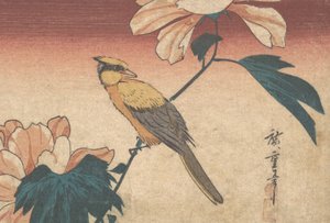 Hibiscus Mutabilis og Jay, ca. 1840., ca. 1840 av Ando Hiroshige