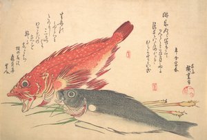 Isaki og Kasago Fish, fra serien Uozukushi Every Variety of Fish, 1830-tallet, 1830-tallet. av Ando Hiroshige
