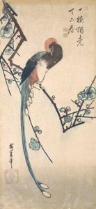 Langhalefugl. av Ando Hiroshige