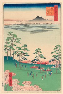 Utsikt nordover fra Asuka Hill (Asuka-yama Kita no Chobo) Fra Series One Hundred Famous utsikt over Edo av Ando Hiroshige